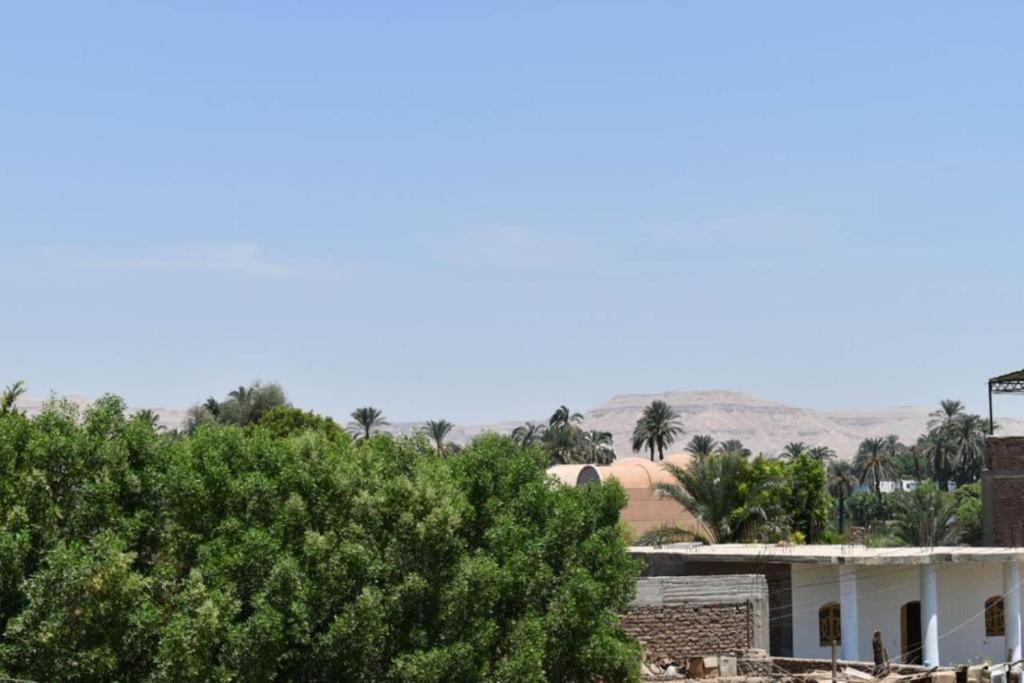 Alaa Aldin Flats Luxor